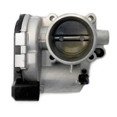 Throttle Body (7519229R)