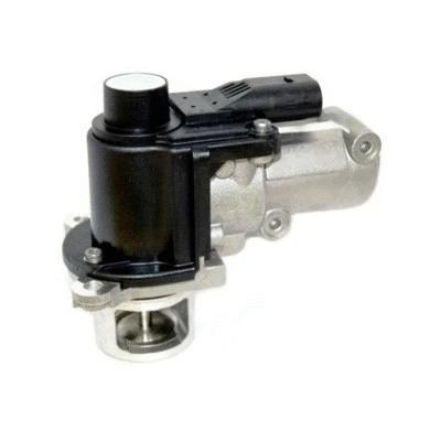 EGR Valve (7518248)