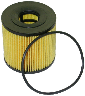 Oil Filter (14058)