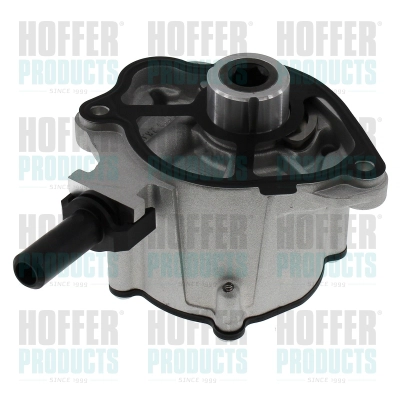 Vacuum Pump, braking system (8091242)