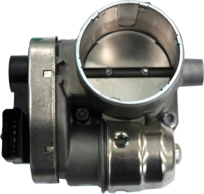 Throttle Body (7519108)