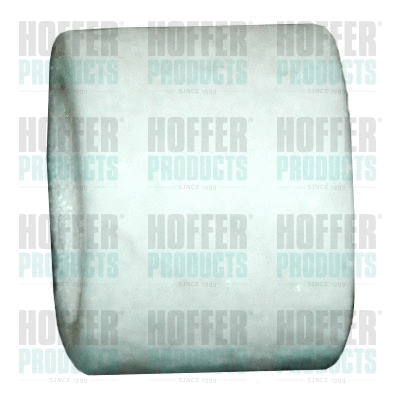 Fuel Filter (4997)