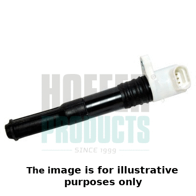 Ignition Coil (8010613E)