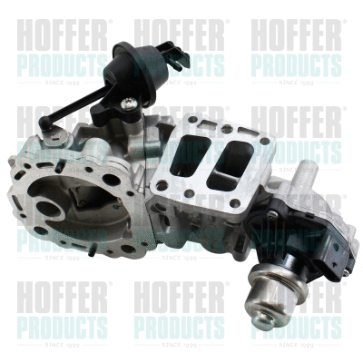 EGR Valve (7518851)