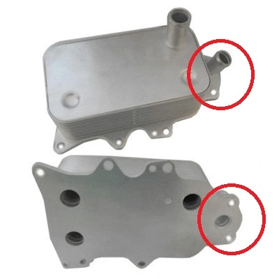 Oil Cooler, engine oil (8095205)