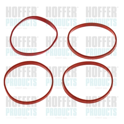 Gasket, intake manifold (016245)