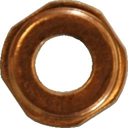 Seal Ring, nozzle holder (8029173)