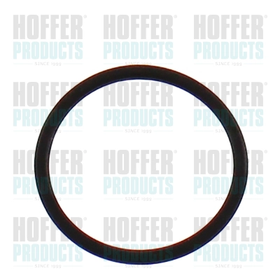 Rubber Ring (98787)