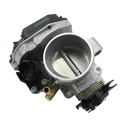 Throttle Body (7519480)