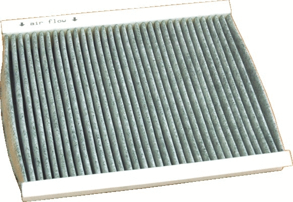 Filter, cabin air (17091K)