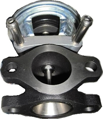 EGR Valve (7518149)
