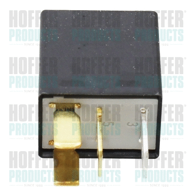 Multifunctional Relay (H73237028)