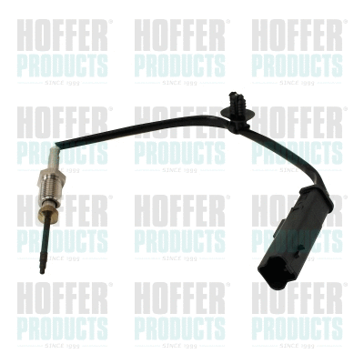 Sensor, exhaust gas temperature (7451903E)