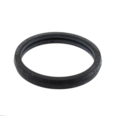 Seal, thermostat (01694)