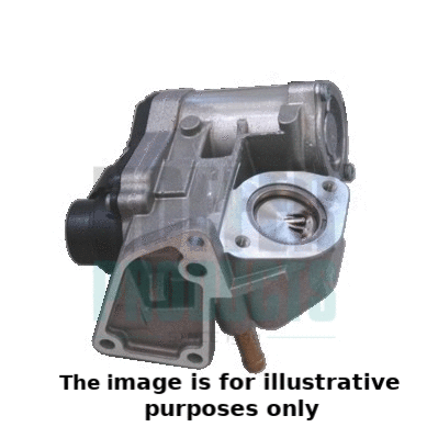 EGR Valve (7518114/1)