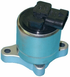 EGR Valve (7518003)