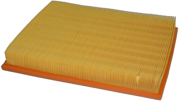 Air Filter (16594)
