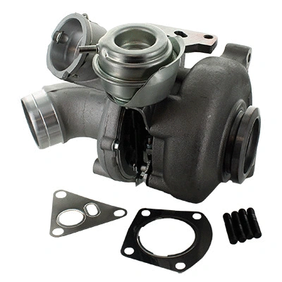 Charger, charging (supercharged/turbocharged) (6900243)