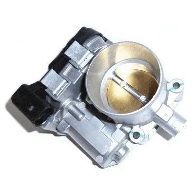 Throttle Body (7519193)