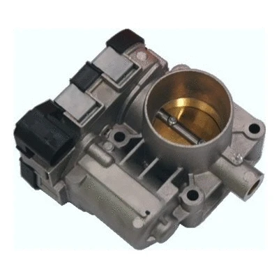 Throttle Body (7519059R)