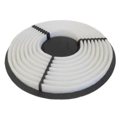 Air Filter (18123)