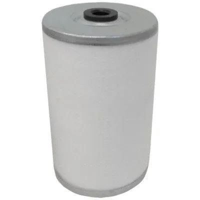 Fuel Filter (4234)