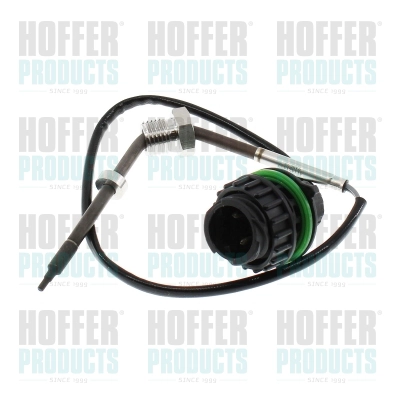 Sensor, exhaust gas temperature (7452652)