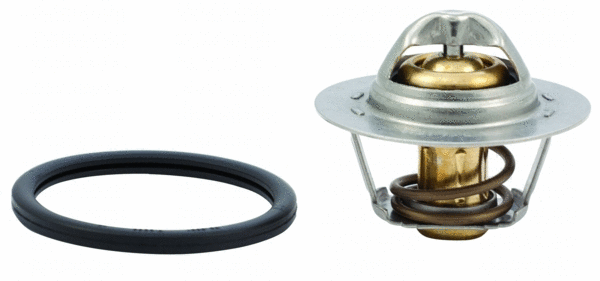 Thermostat, coolant (8192444)