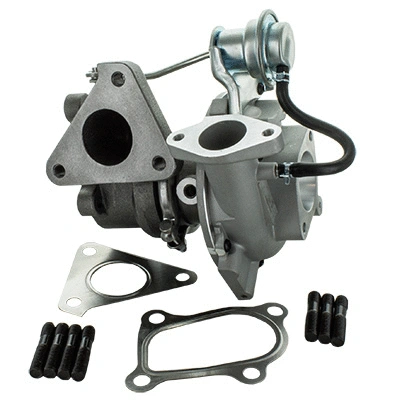 Charger, charging (supercharged/turbocharged) (6900282)