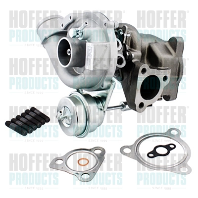 Charger, charging (supercharged/turbocharged) (6900498)