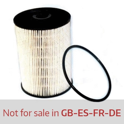 Fuel Filter (4920)