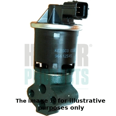 EGR Valve (7518048R)