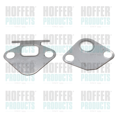 Gasket, EGR valve (016118)