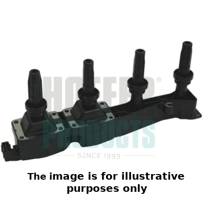 Ignition Coil (8010335/1)