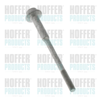 Screw Plug (98829)