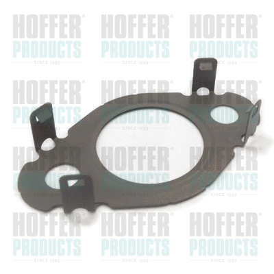 Gasket, EGR valve (01616)