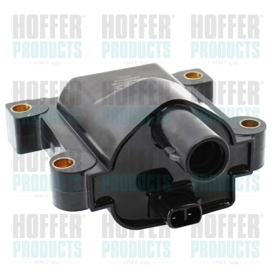 Ignition Coil (8010853)