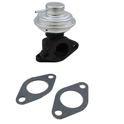 EGR Valve (7518480)