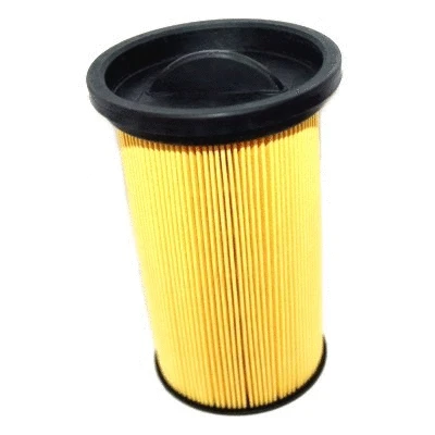 Fuel Filter (4301)