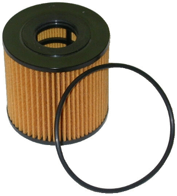 Oil Filter (14031)