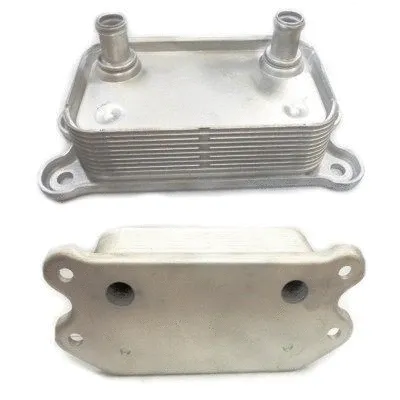 Oil Cooler, engine oil (8095044)
