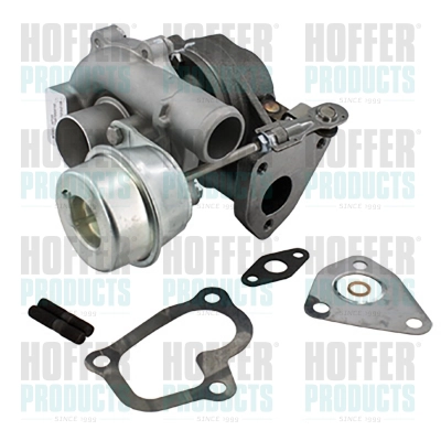 Charger, charging (supercharged/turbocharged) (6900177)