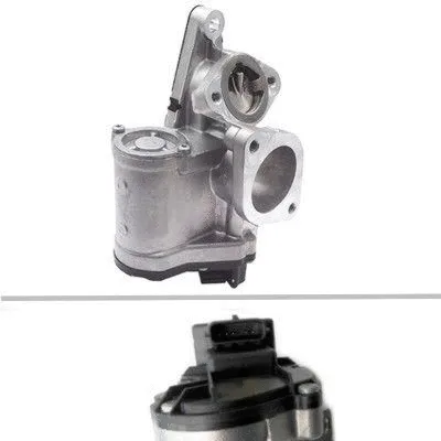 EGR Valve (7518226)