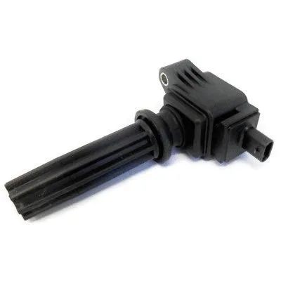 Ignition Coil (8010767)