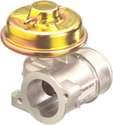 EGR Valve (7518042)