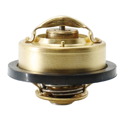 Thermostat, coolant (8192108)