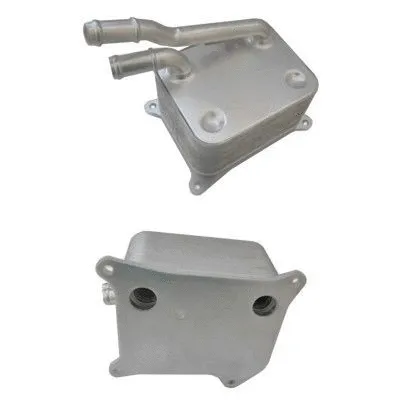 Oil Cooler, engine oil (8095187)