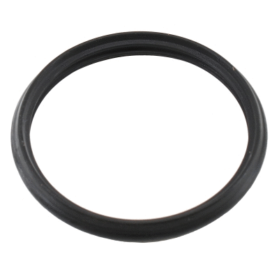 Seal, thermostat (016110)