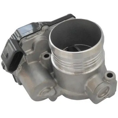 Throttle Body (7519331)