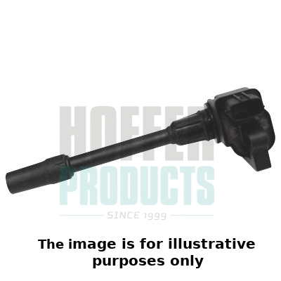 Ignition Coil (8010639E)